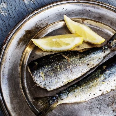 sardines, fish pictures, fish-1489626.jpg